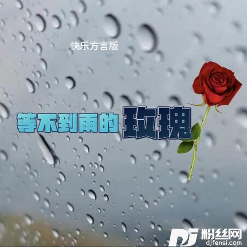 等不到雨的玫瑰快乐方言版的专辑