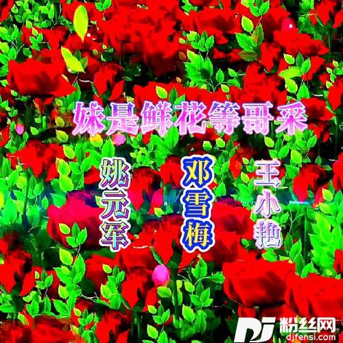 妹是鲜花等哥采的专辑
