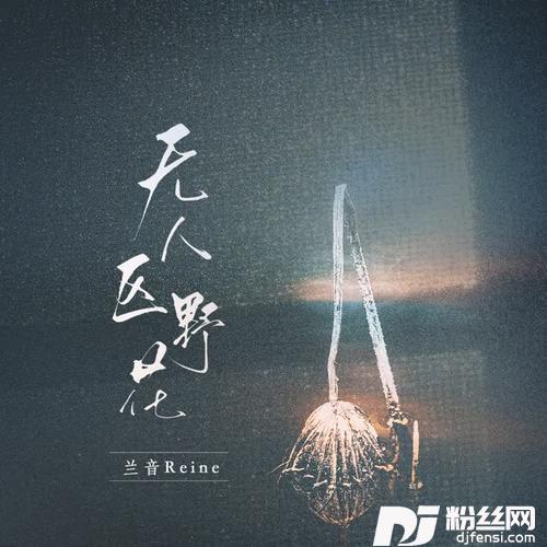 无人区野花的专辑