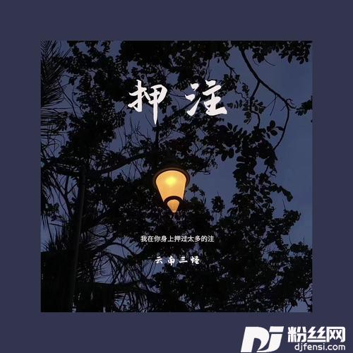 押注的专辑