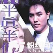 半真半假