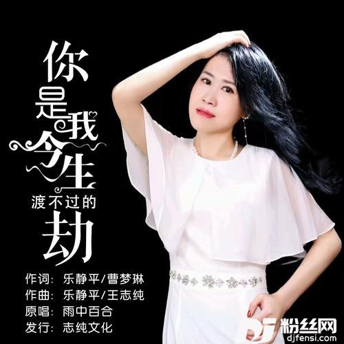 你是我今生渡不过的劫女声版的专辑