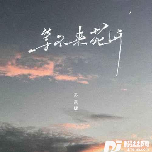 等不来花开DJ版