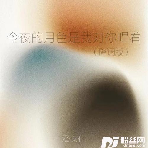 今夜的月色是我对你唱着降调版