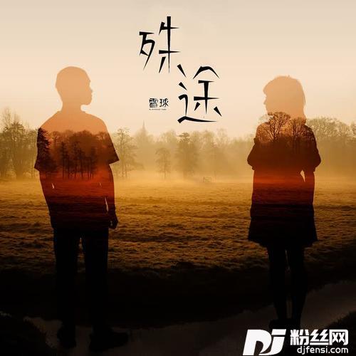 殊途