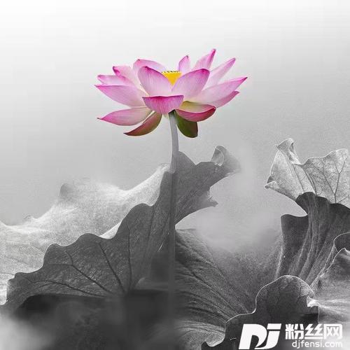 与我无关的专辑
