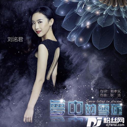 梦中的雪莲的专辑
