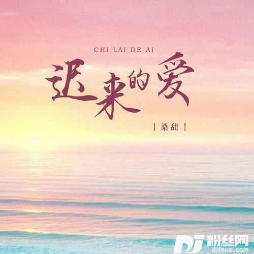 迟来的爱DJ版