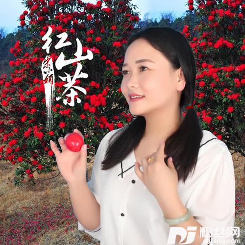 红山茶的专辑