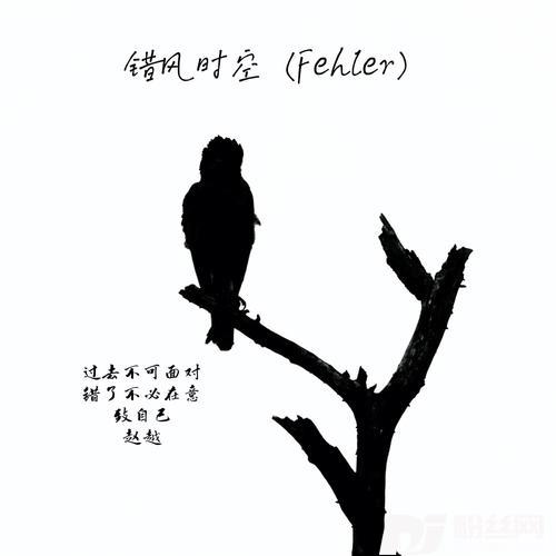 错风时空（Fehler）
