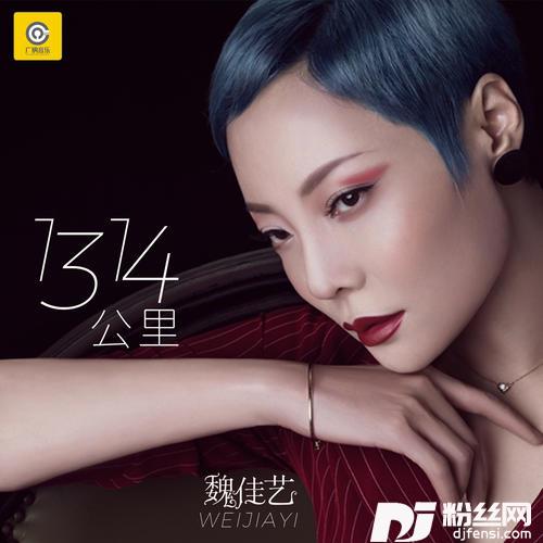 1314公里DJ版