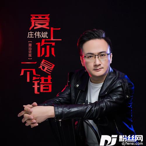 爱上你是一个错DJ大金潮汕语版的专辑