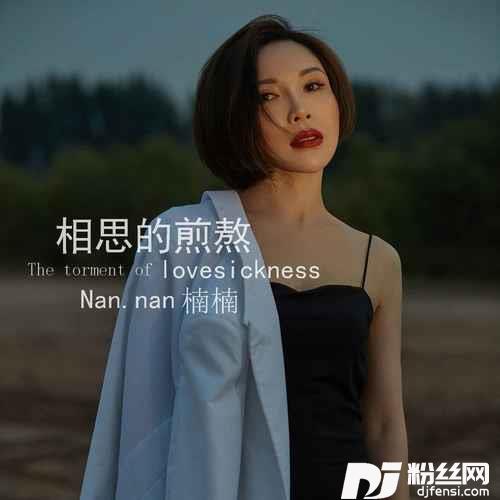 相思的煎熬DJ阿鹏版
