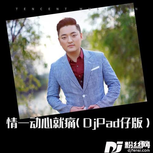 情一动心就痛（DjPad仔版）