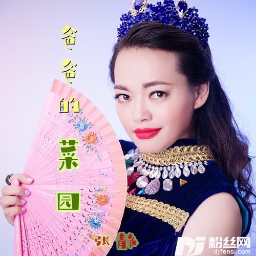 爸爸的菜园