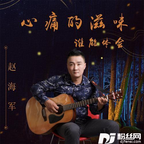 心痛的滋味谁能体会DJ版