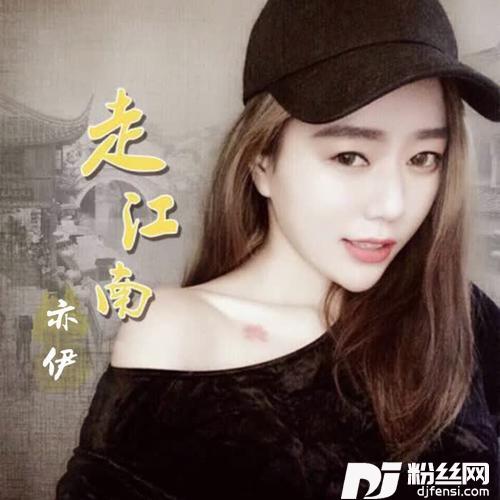 走江南DJ何鹏版