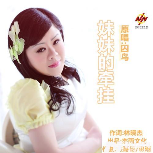 妹妹的牵挂dj晓朋