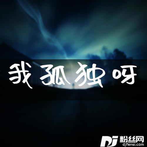 我孤独呀的专辑