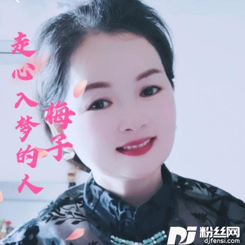 走心入梦的人cover:宁才神的专辑