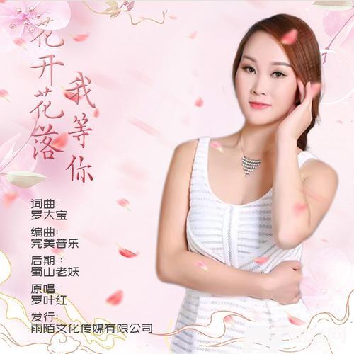 花开花落我等你的专辑