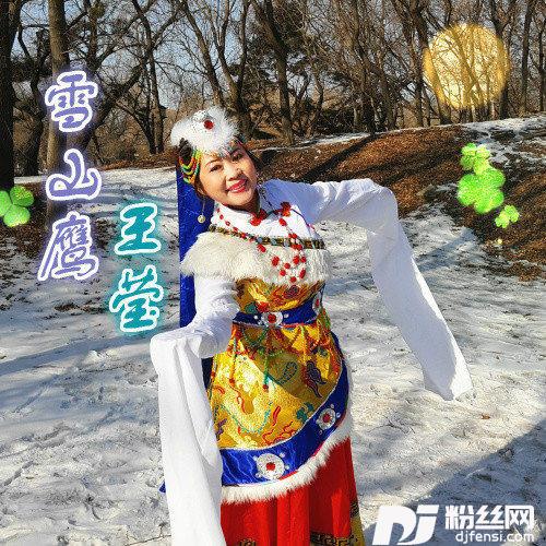 雪山鹰的专辑