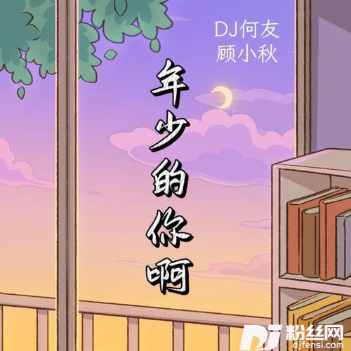 年少的你啊DJ何友|顾小秋remix