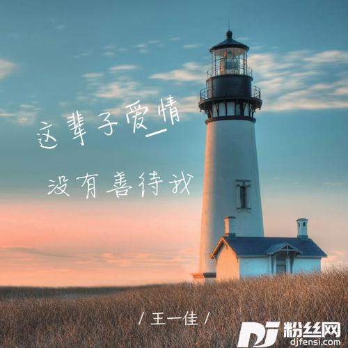 这辈子爱情没有善待我的专辑