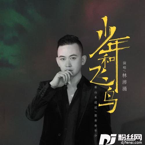 少年和飞鸟DJheap九天版的专辑