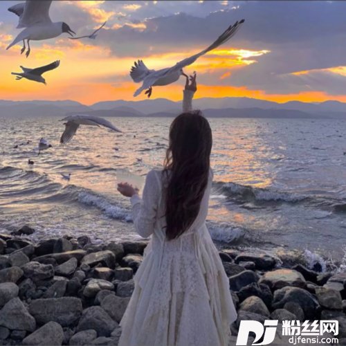 渡人生cover:香子的专辑