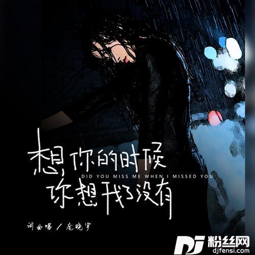 想你的时候你想我了没有DJ