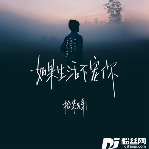 如果生活不宠你的专辑