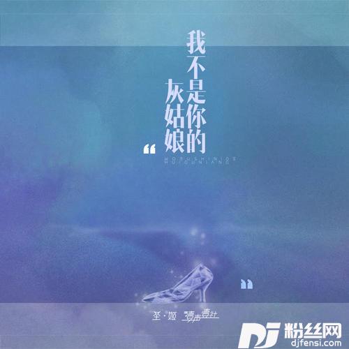 我不是灰姑娘的专辑