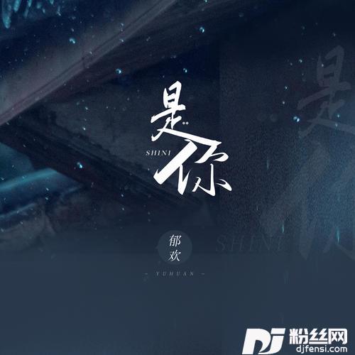 是你的专辑