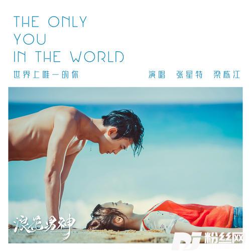 世界上唯一的你的专辑