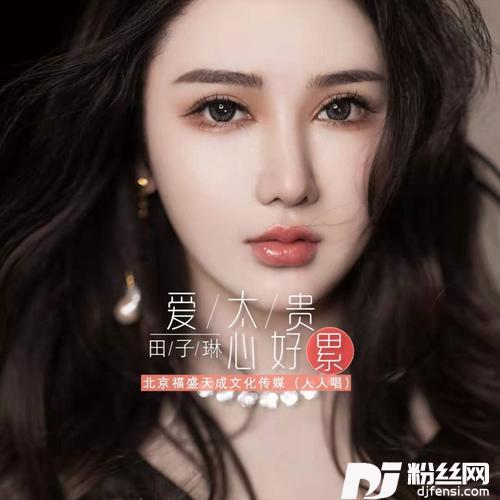 爱太贵心好累--DJ伟然版