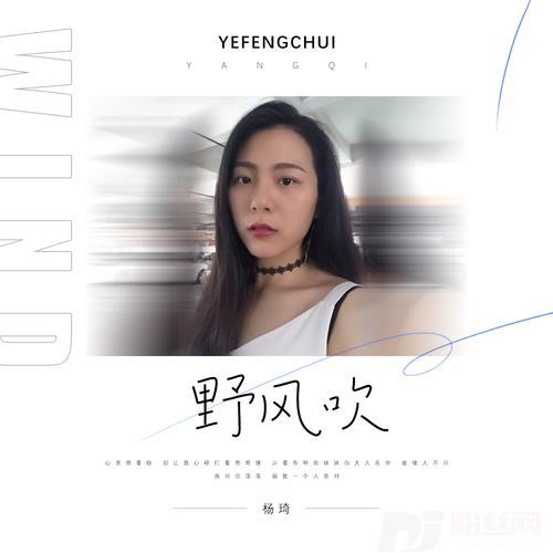 野风吹的专辑