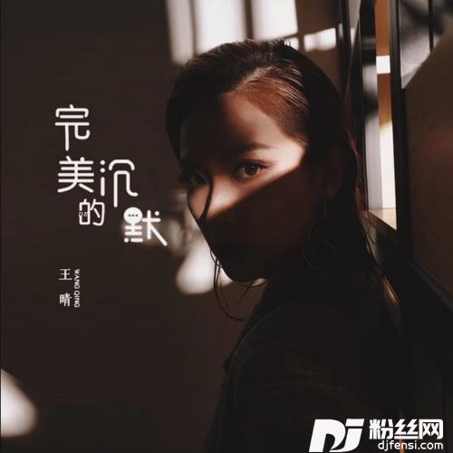 完美的沉默的专辑