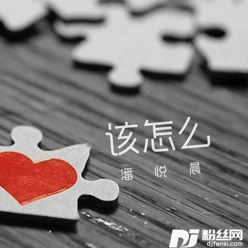 该怎么