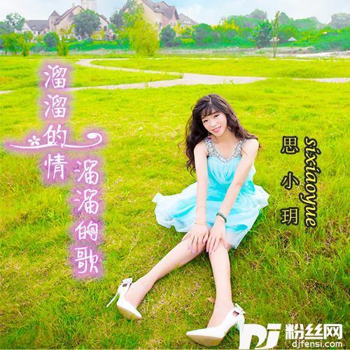 溜溜的情溜溜的歌（DJ王华版）