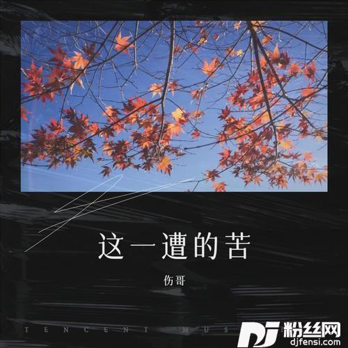 和寂寞碰杯（烟嗓版）的专辑