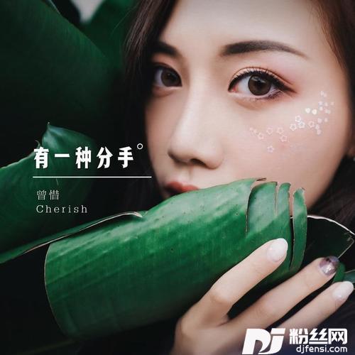 有一种分手