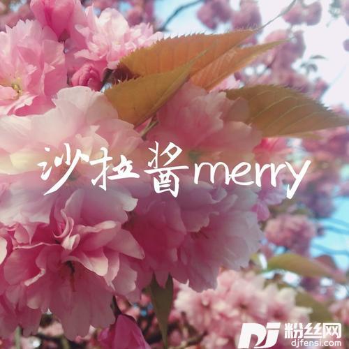 沙漠骆驼原唱:展展与罗罗的专辑