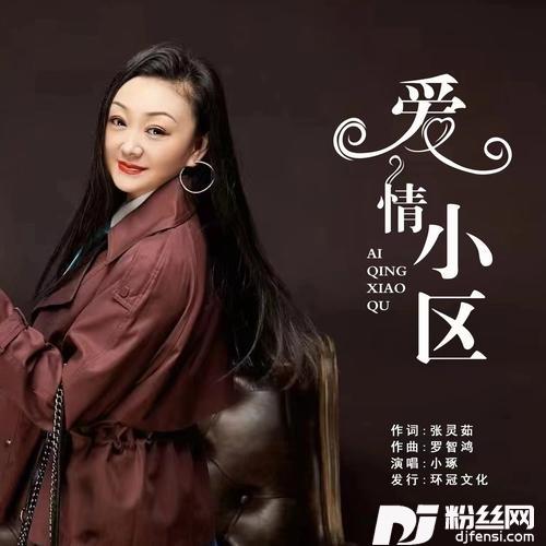 爱情小区DJ彭锐版
