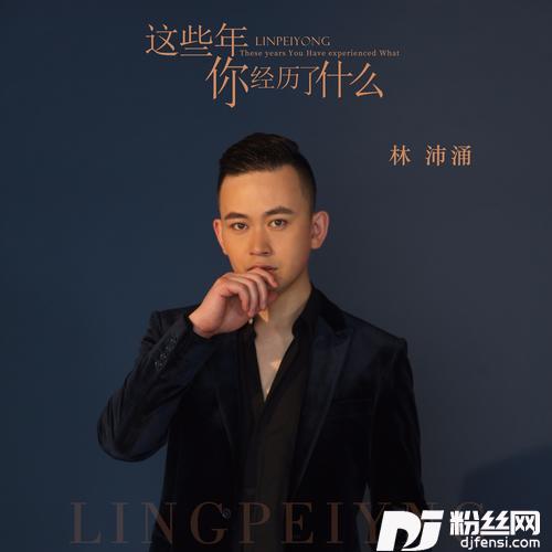 这些年你经历了什么的专辑