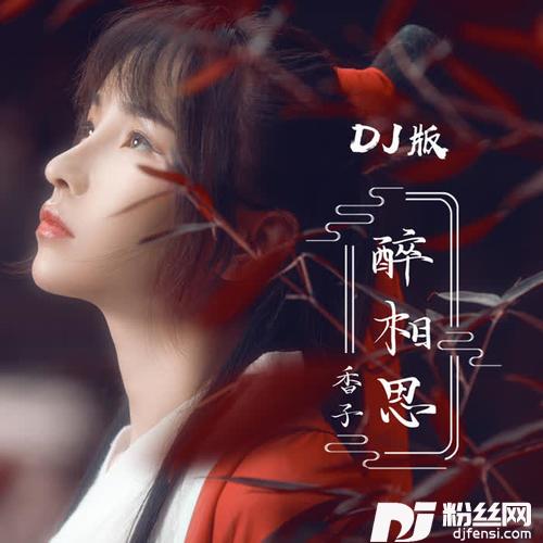 醉相思DJ名龙版的专辑