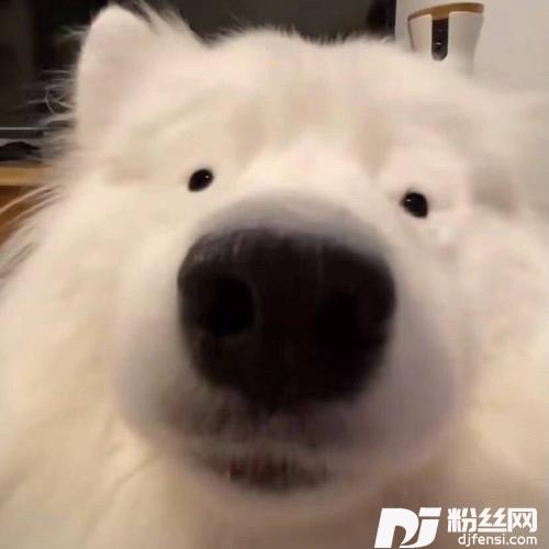 很任性cover:千百顺的专辑