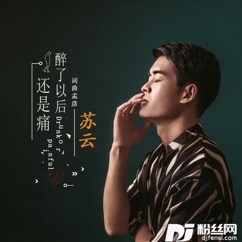 醉了以后还是痛的专辑