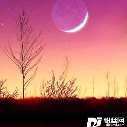 春暖花开dj的专辑