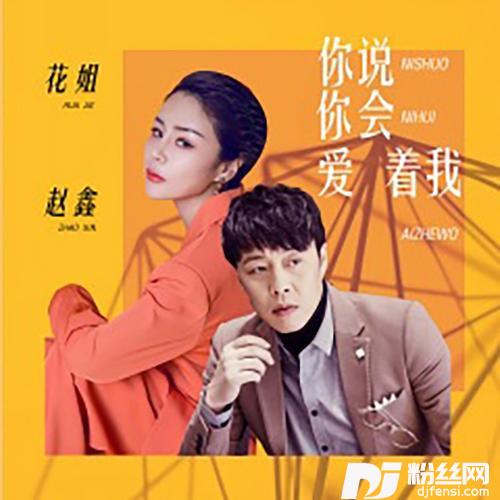 你说你会爱着我的专辑